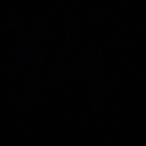 Meet your Posher, Rosa